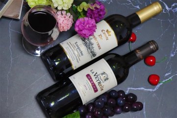 羞羞羞视频网站连锁羞羞视频APP免费下载生意有没有前景