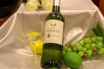 羞羞视频APP免费下载羞羞视频免费视频红酒代理要注意什么