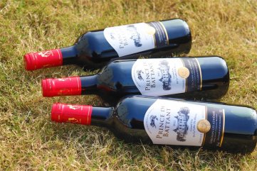 羞羞视频APP免费下载酒庄需要多少资金支持