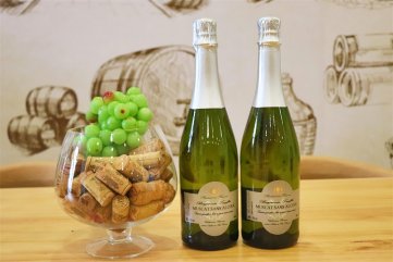 开家红酒代理羞羞视频APP免费下载店有什么要求