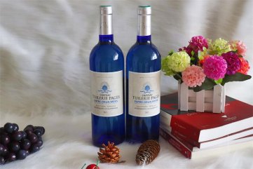 投资进口羞羞羞视频网站代理生意赚不赚钱