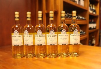 桃红羞羞羞视频网站代理赚不赚钱